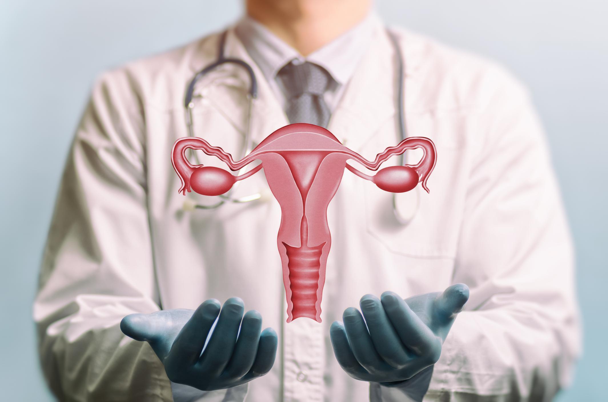 ginekolog, układ rozrodczy kobiety